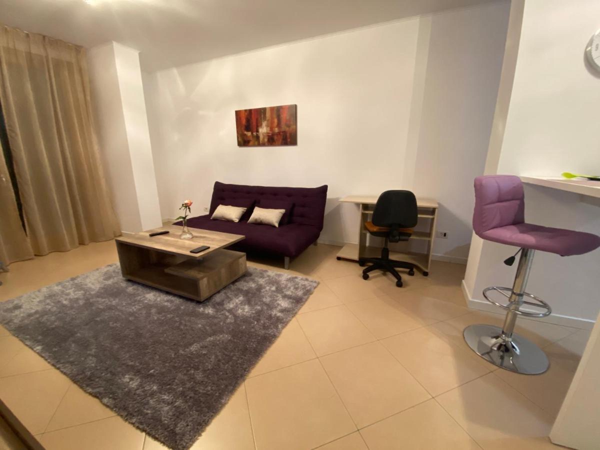 טימישוארה Central Apartment מראה חיצוני תמונה