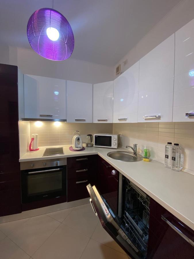 טימישוארה Central Apartment מראה חיצוני תמונה