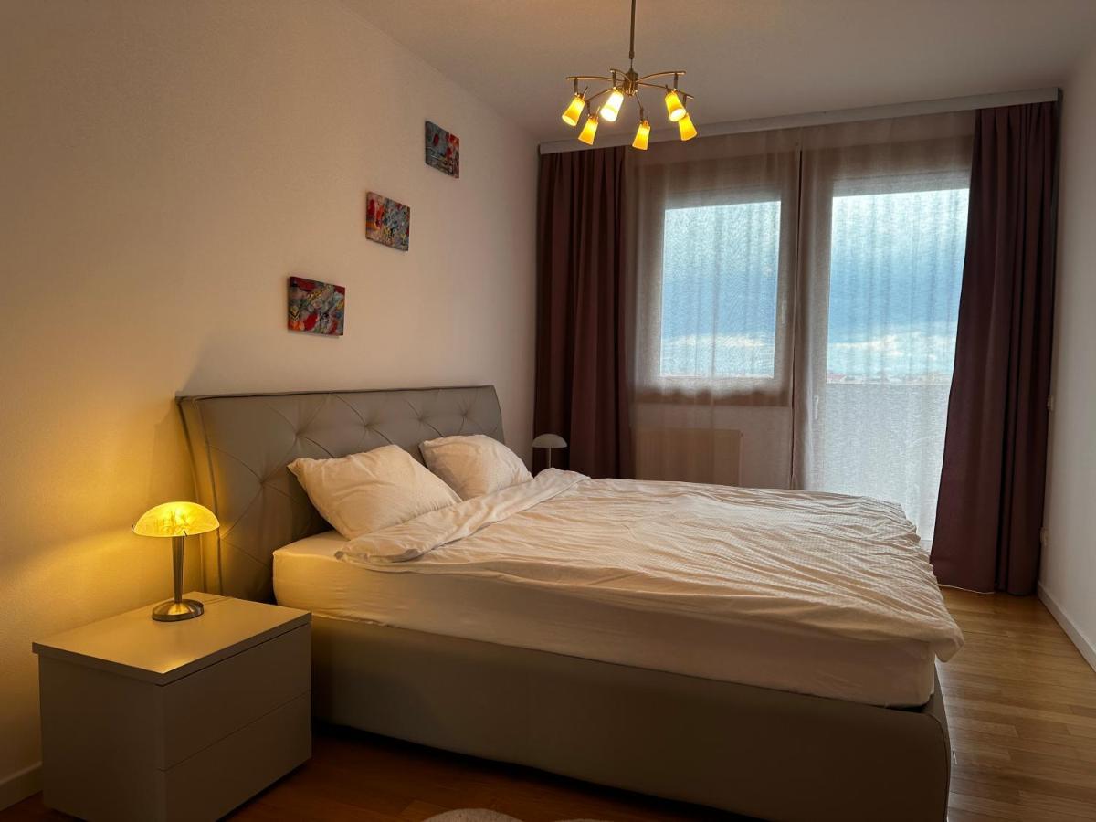 טימישוארה Central Apartment מראה חיצוני תמונה