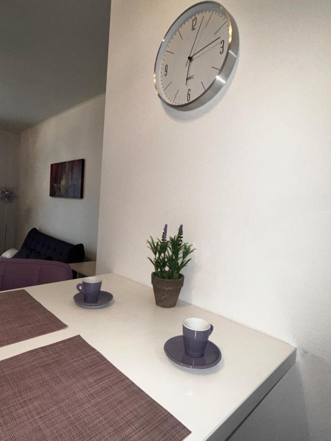 טימישוארה Central Apartment מראה חיצוני תמונה