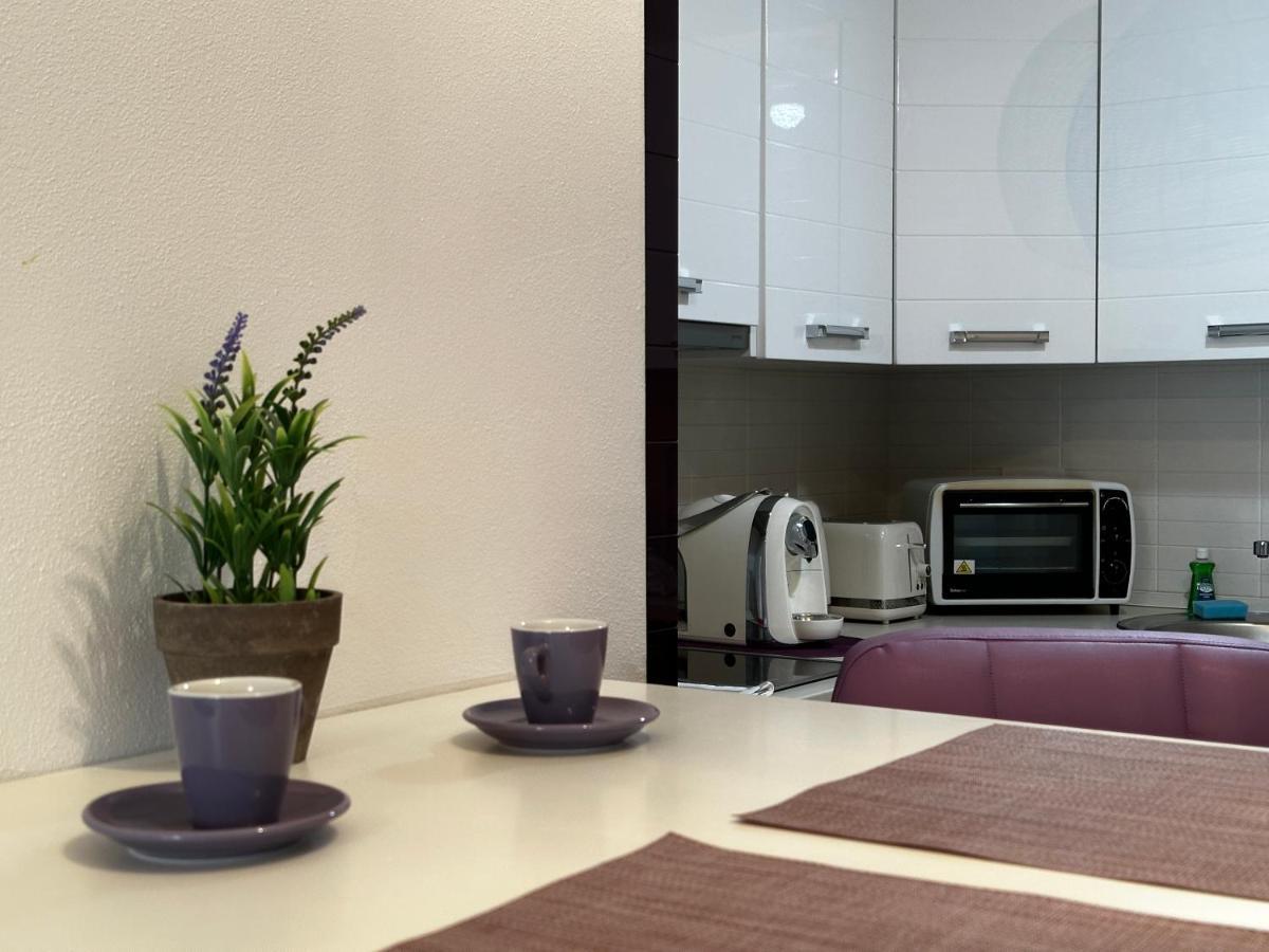 טימישוארה Central Apartment מראה חיצוני תמונה