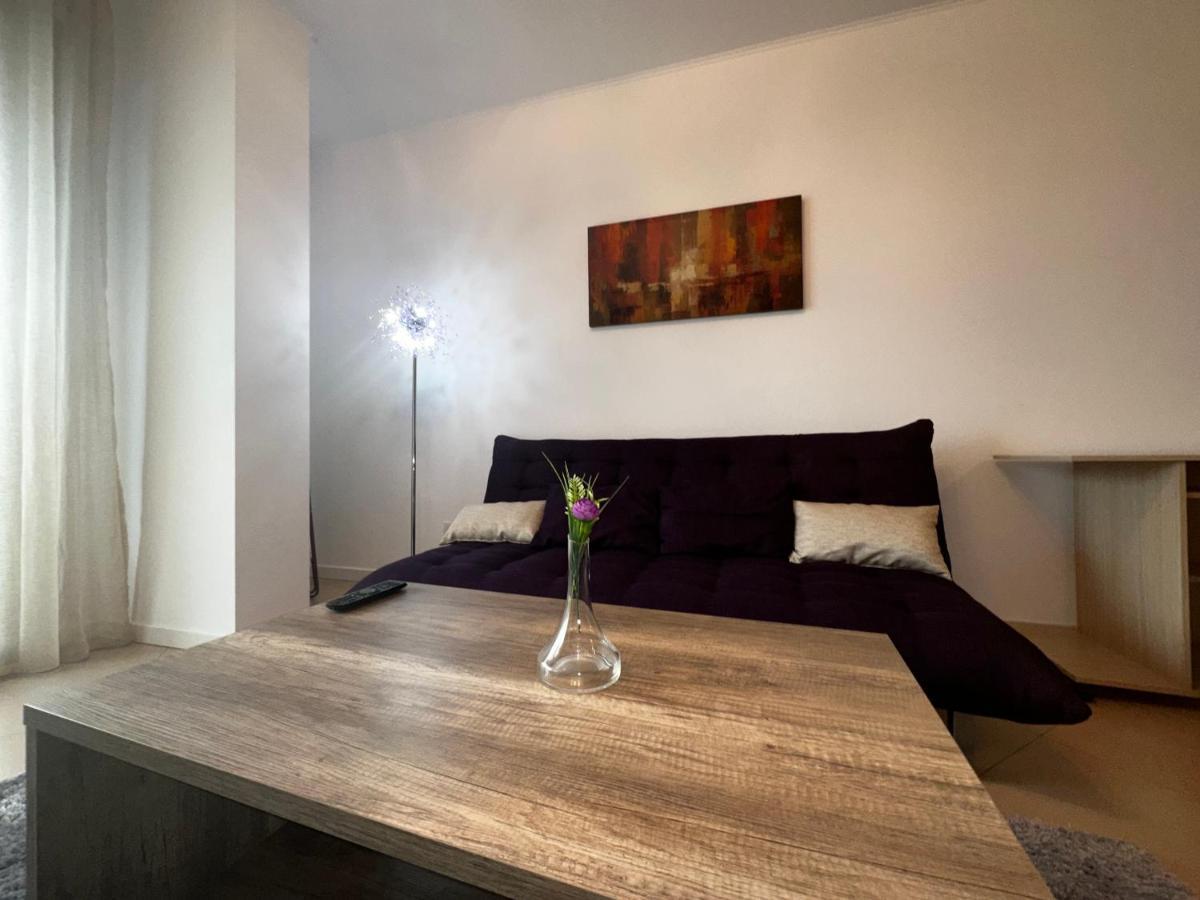 טימישוארה Central Apartment מראה חיצוני תמונה