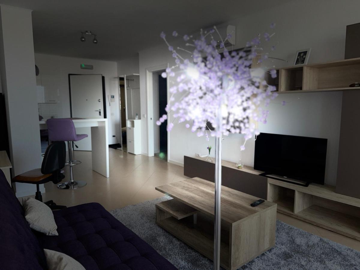 טימישוארה Central Apartment מראה חיצוני תמונה