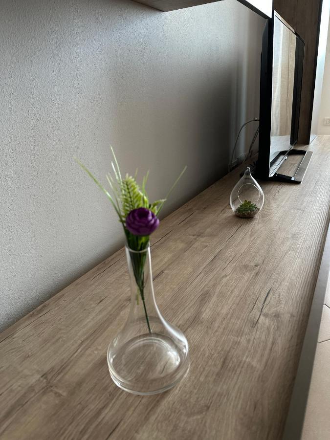 טימישוארה Central Apartment מראה חיצוני תמונה
