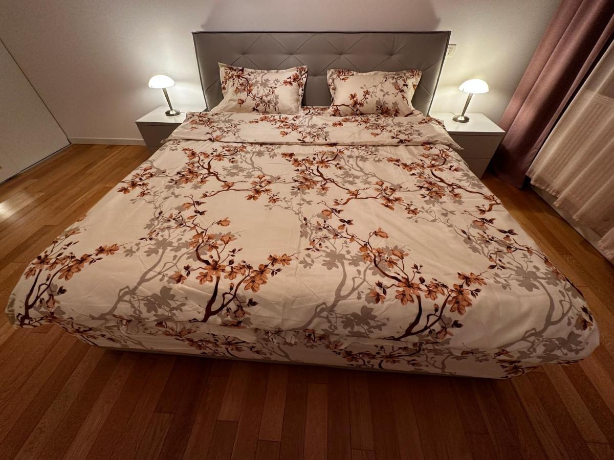 טימישוארה Central Apartment מראה חיצוני תמונה