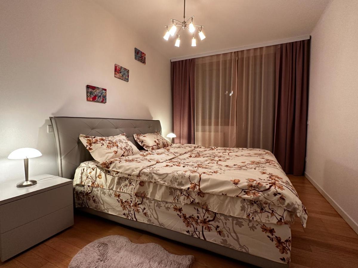 טימישוארה Central Apartment מראה חיצוני תמונה