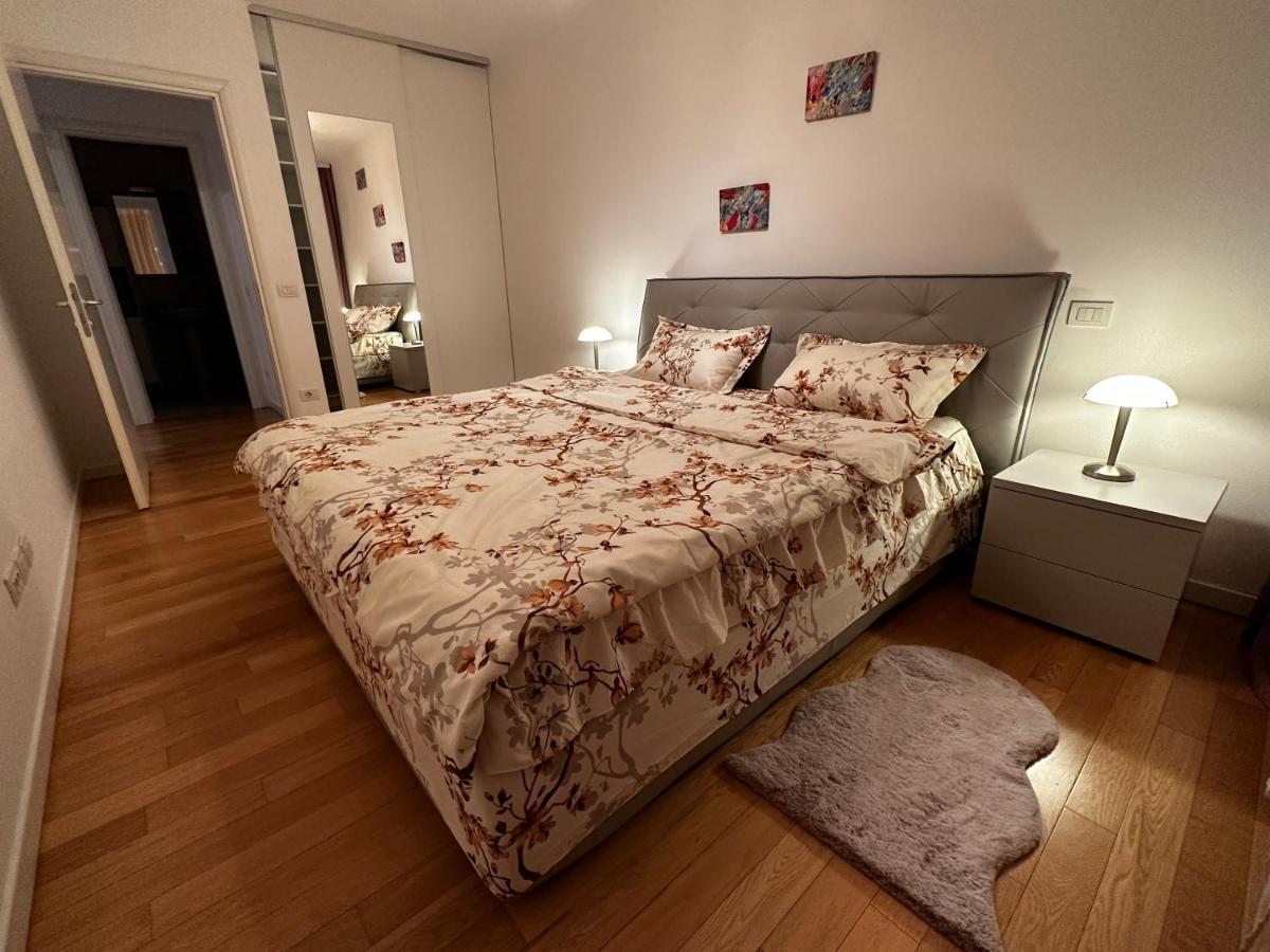 טימישוארה Central Apartment מראה חיצוני תמונה