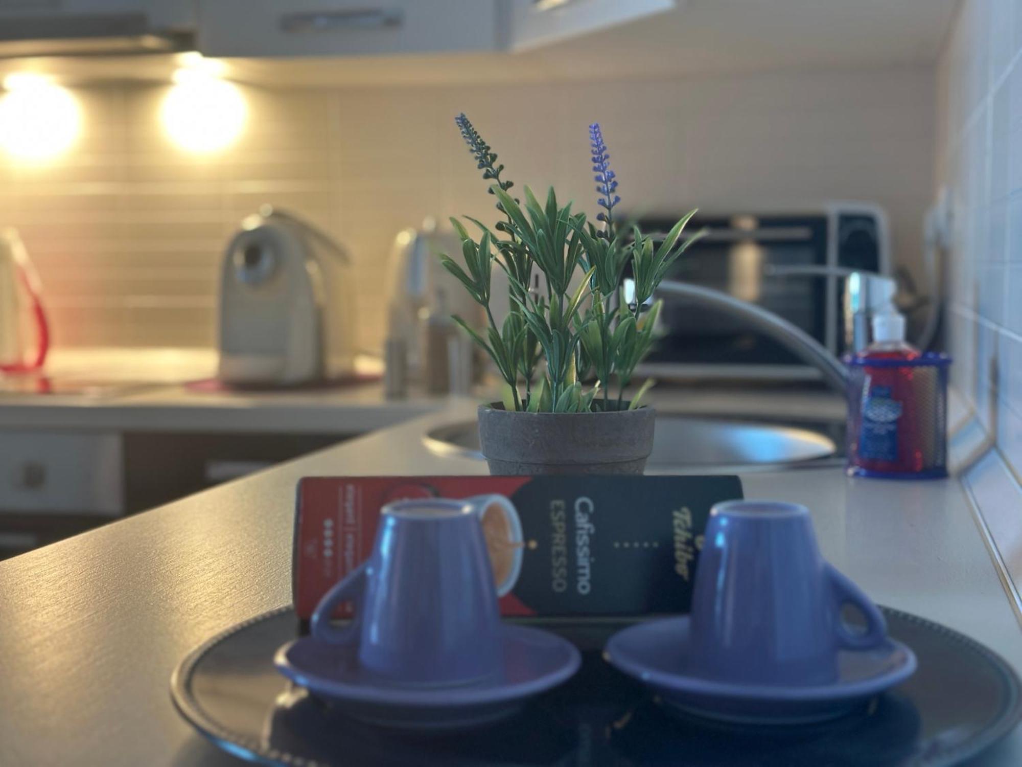טימישוארה Central Apartment מראה חיצוני תמונה