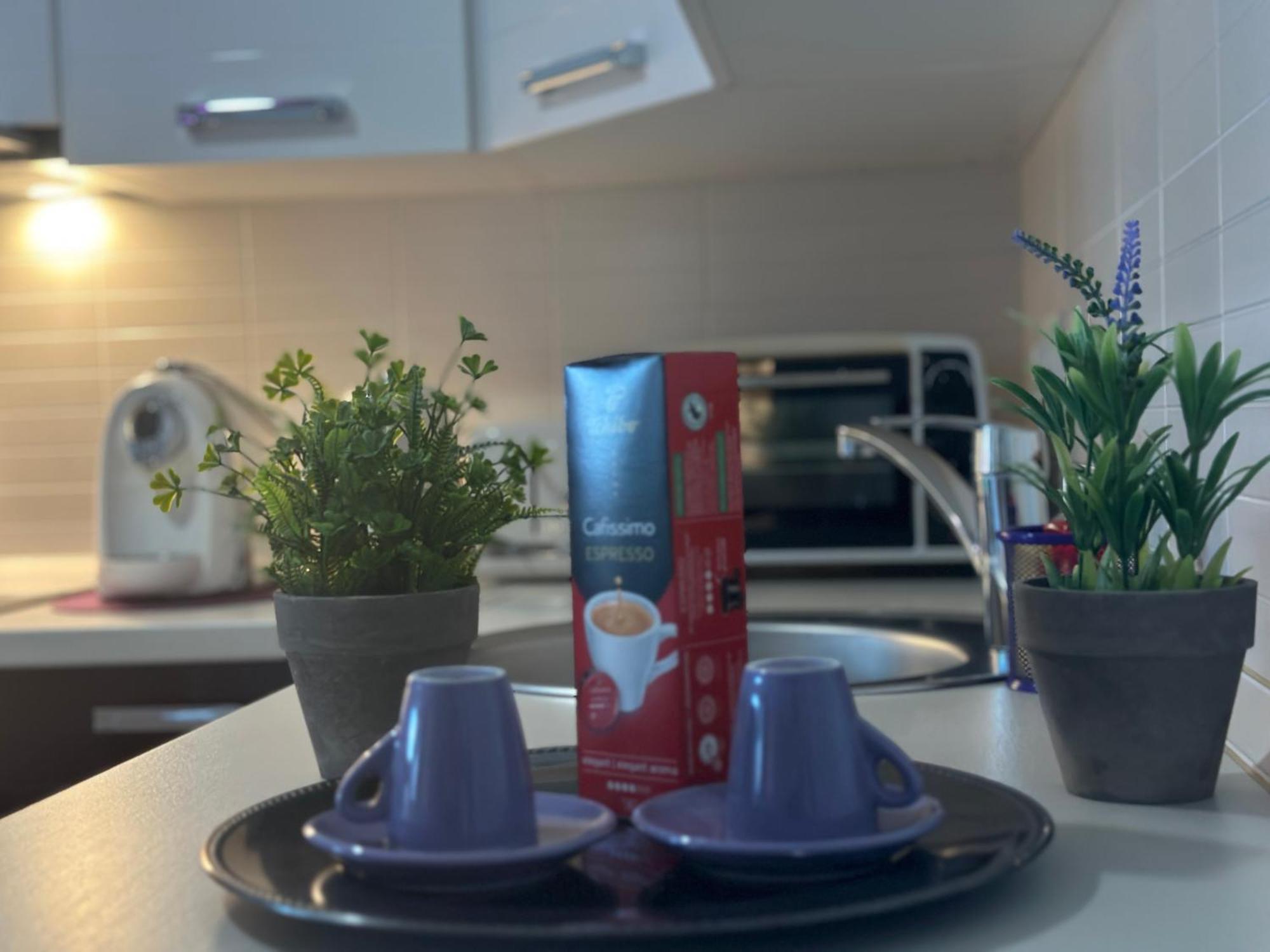 טימישוארה Central Apartment מראה חיצוני תמונה